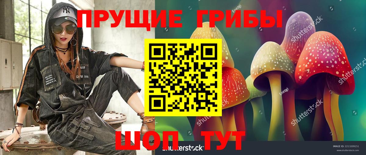 Владикавказ  Псилоцибиновые грибы мицелий  Вход с VPN 