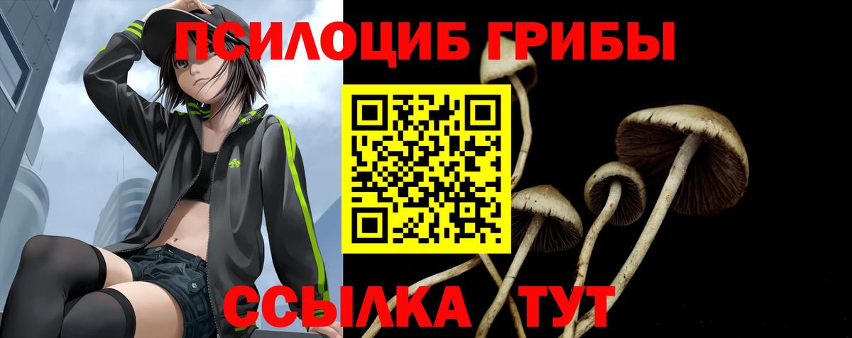 Галлюциногенные грибы ЛСД Владикавказ